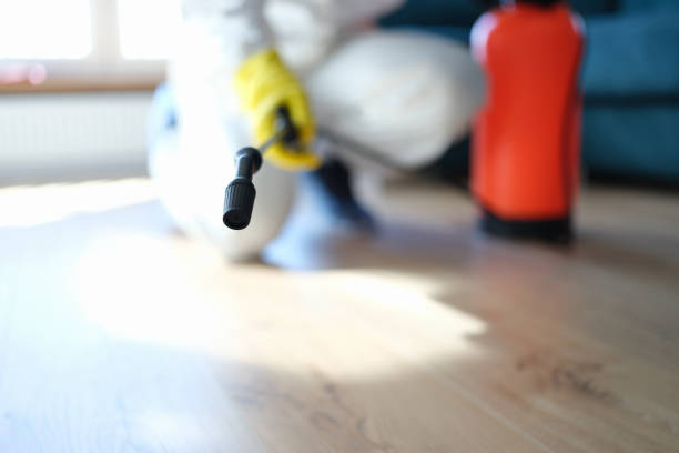 Best Attic Mold Removal  in Walker, MI