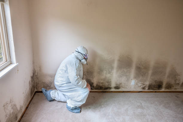 Best Industrial Mold Remediation  in Walker, MI