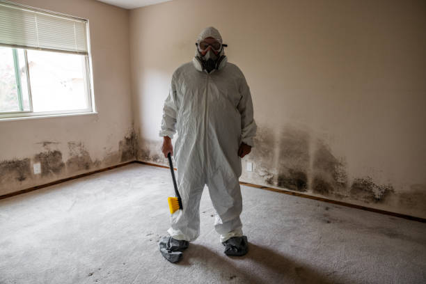 Best Post-Construction Mold Inspection  in Walker, MI