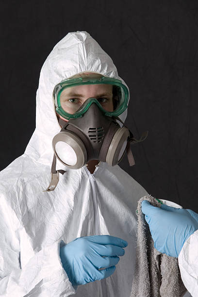 Asbestos and Lead Testing During Mold Inspection in Walker, MI